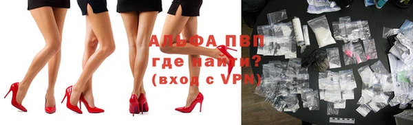 сатива Кущёвская