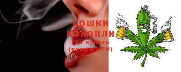 МДПВ Медногорск