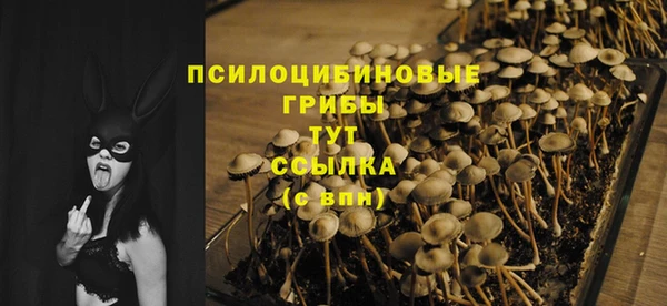 jwh Медвежьегорск