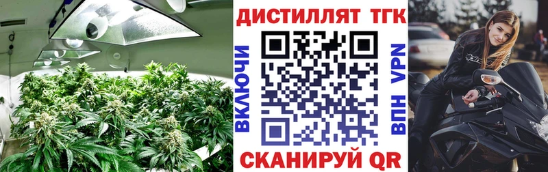 закладки  hydra онион  Дистиллят ТГК THC oil  Вилюйск 