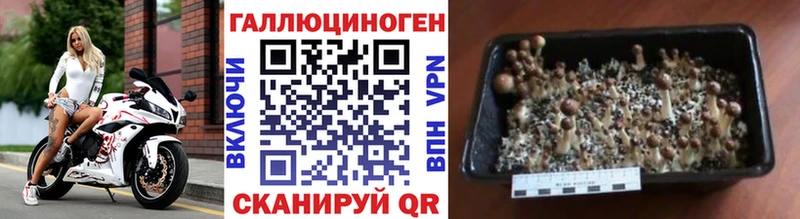 ссылка на мегу зеркало  купить наркотики цена  Вилюйск  Галлюциногенные грибы MAGIC MUSHROOMS 